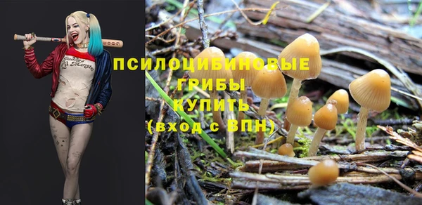 ALPHA PVP Бронницы