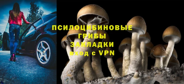 эйфоретик Бугульма