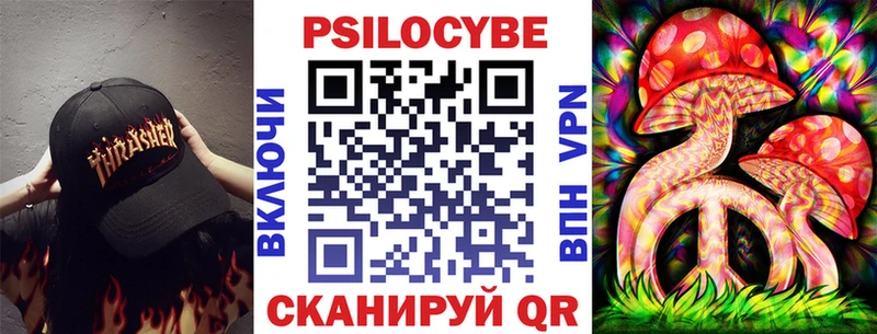 дарнет шоп  Сочи  Псилоцибиновые грибы Psilocybe 