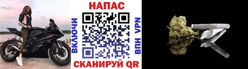 МАРИХУАНА ГИДРОПОН  Сочи 